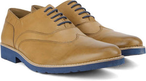 Arrow Corporate casuals For Men  (Tan)